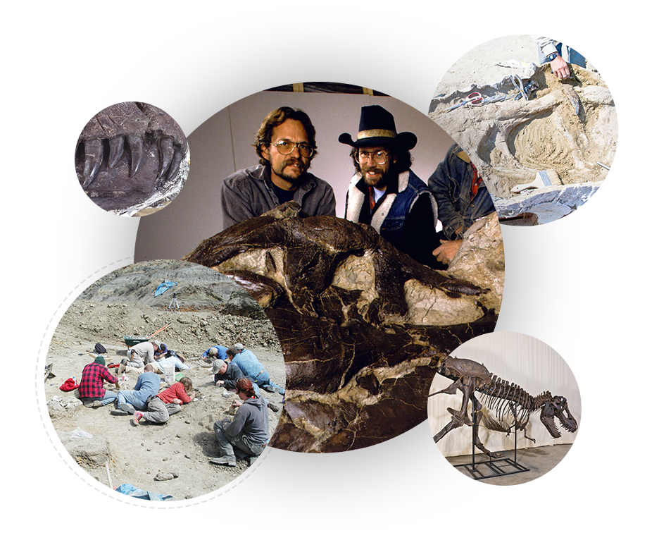 About Black Hills